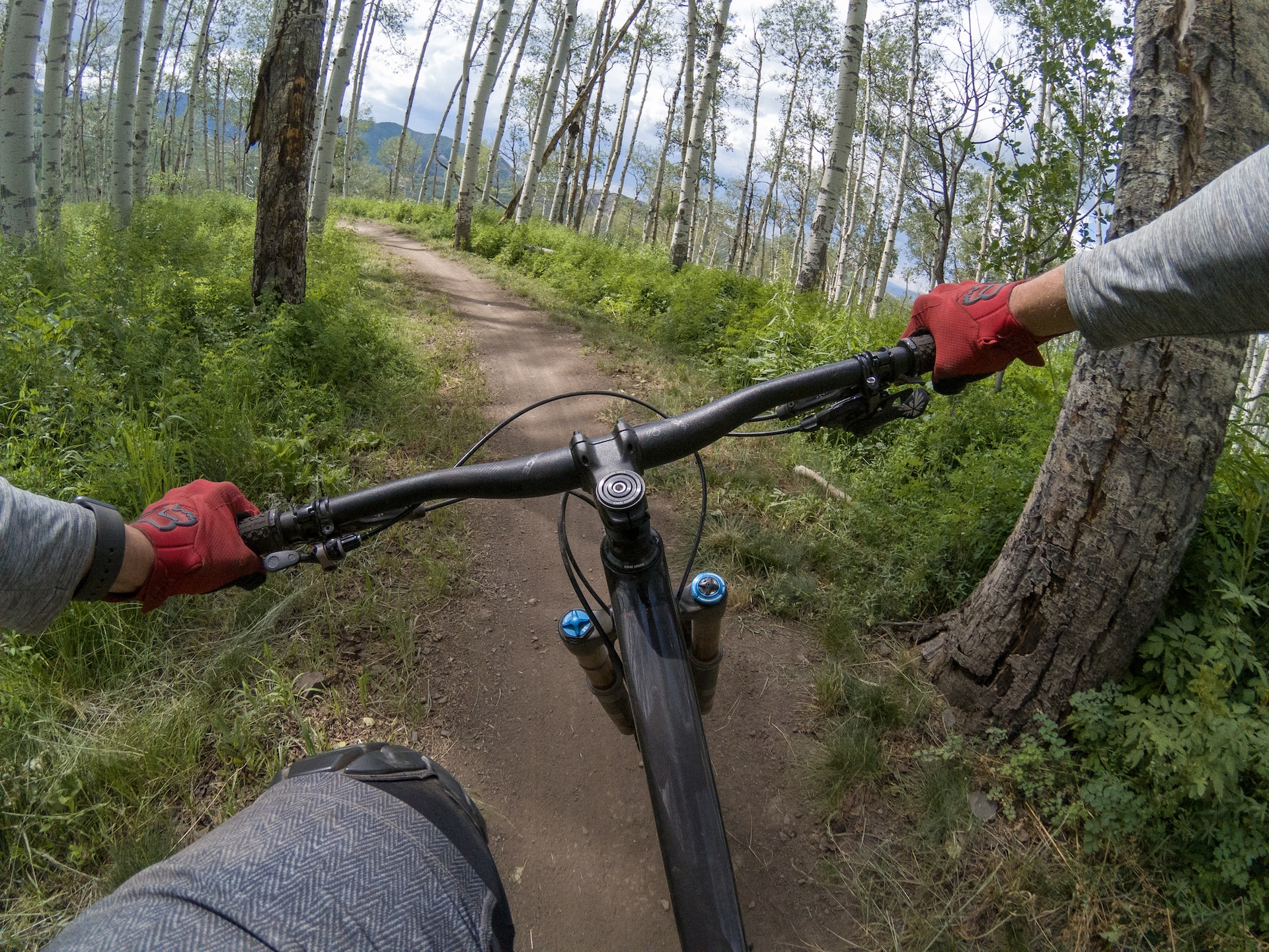 Go biking in Telluride on your next vacation
