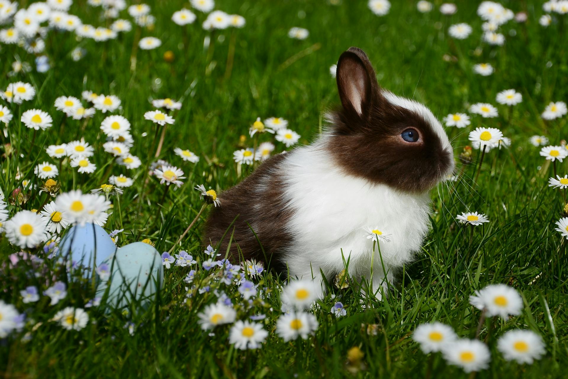 Easter Activities & Attractions in Telluride CO