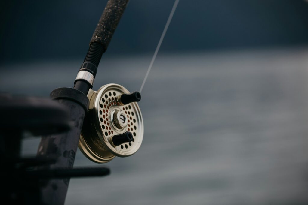 Experience fishing in Telluride