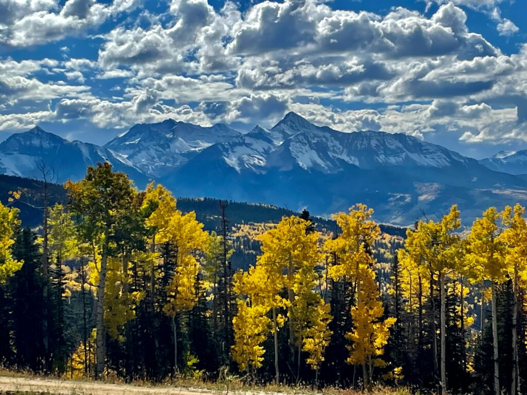 Telluride fall leaves