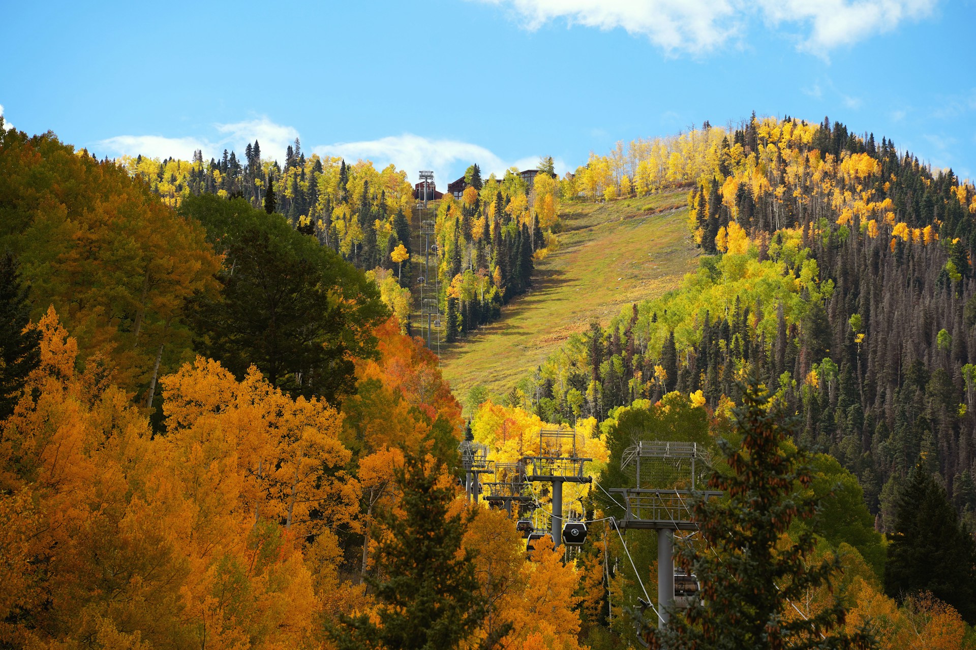 Visit Telluride in the fall