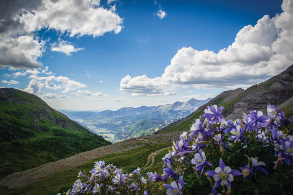 Mountains with spring flowers