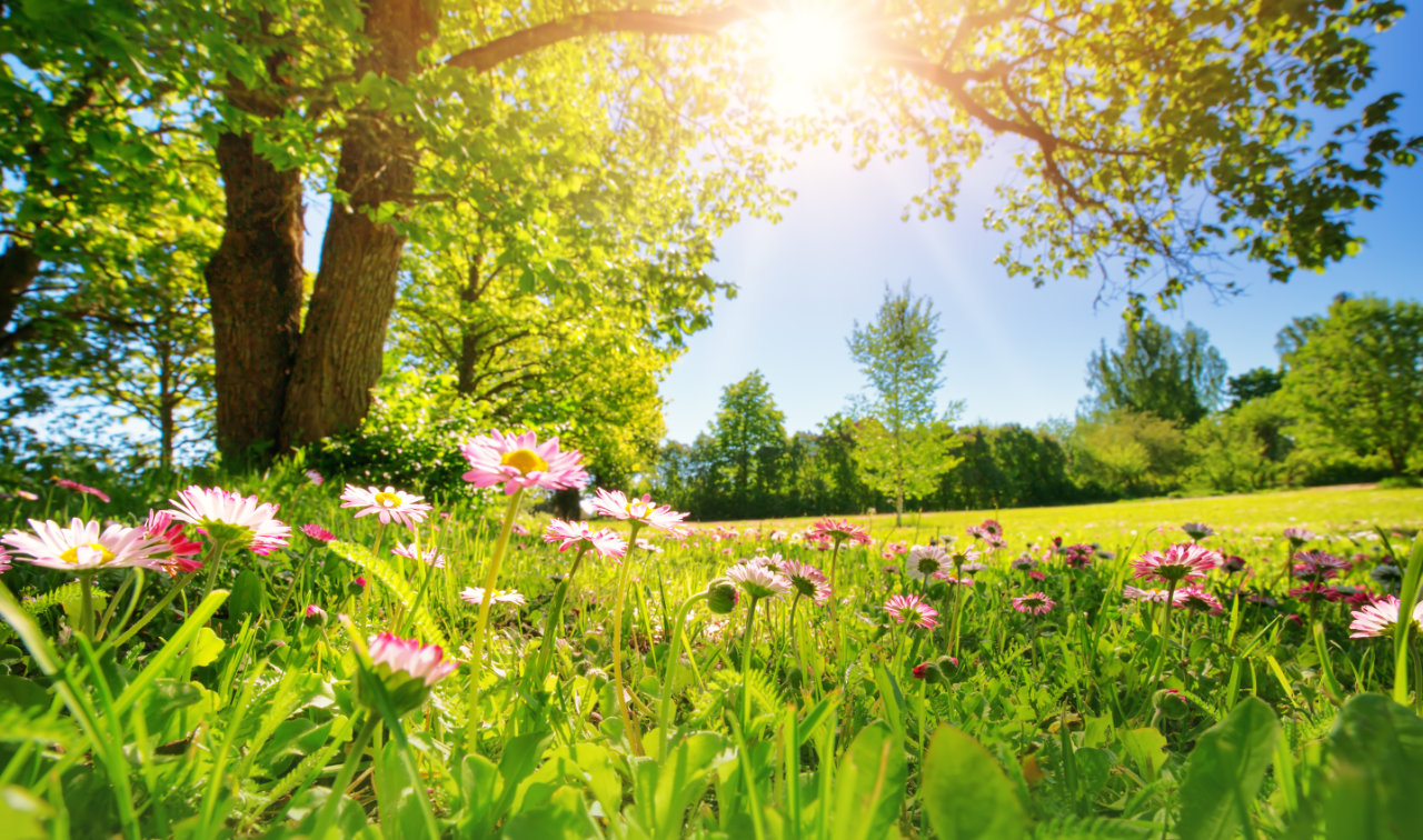Enjoy spring in Telluride